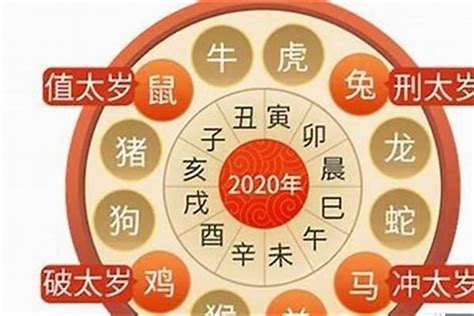 2024年属虎运势|2024年属虎人的全年运势 属虎人2024年每月运势及运程详解